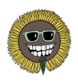 SUNFLOWER PARADISE